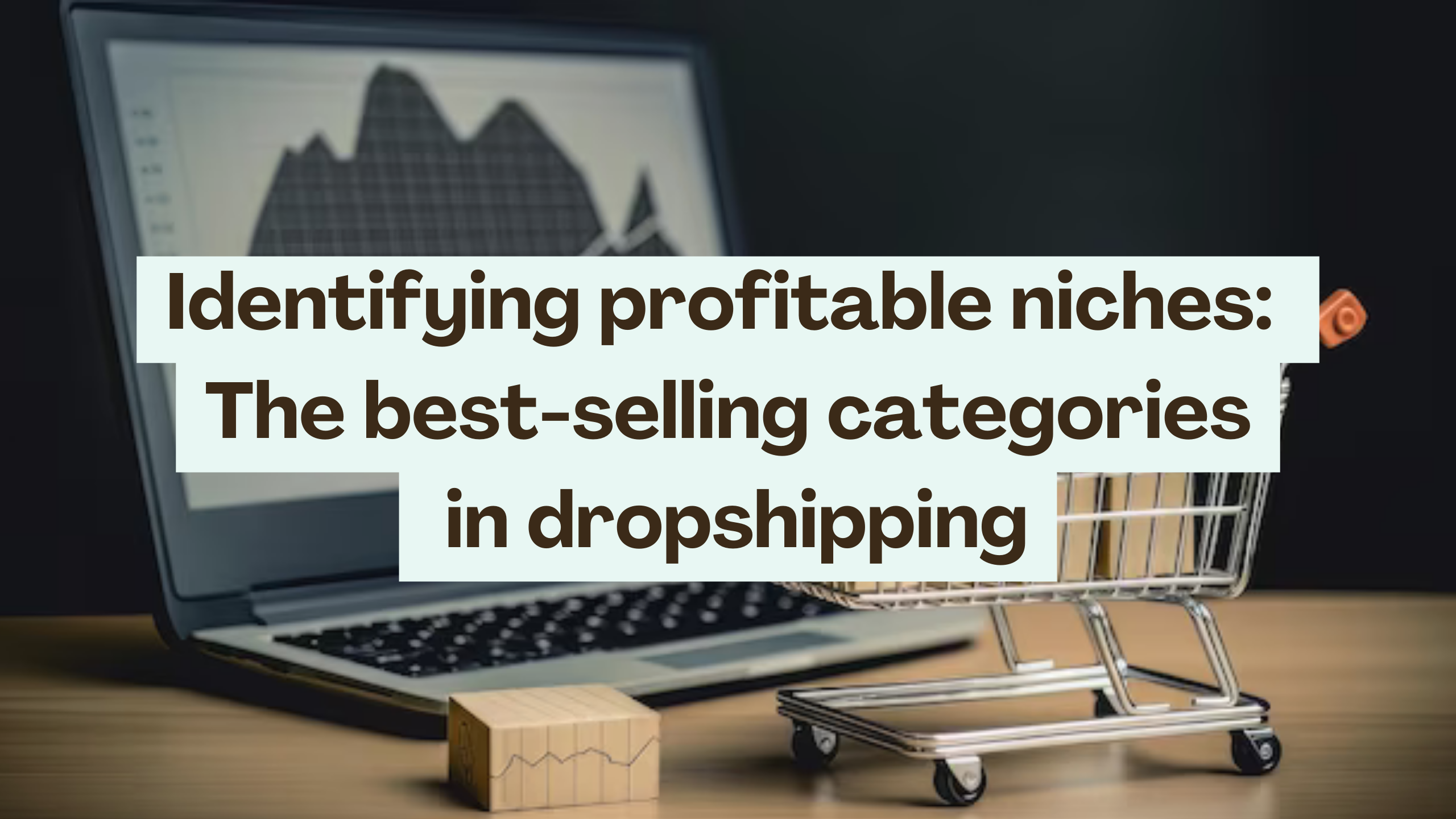 Identifying profitable niches: The best-selling categories in dropshipping - Subscribed.FYI