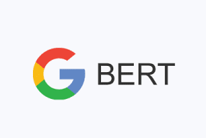 BERT (Google)