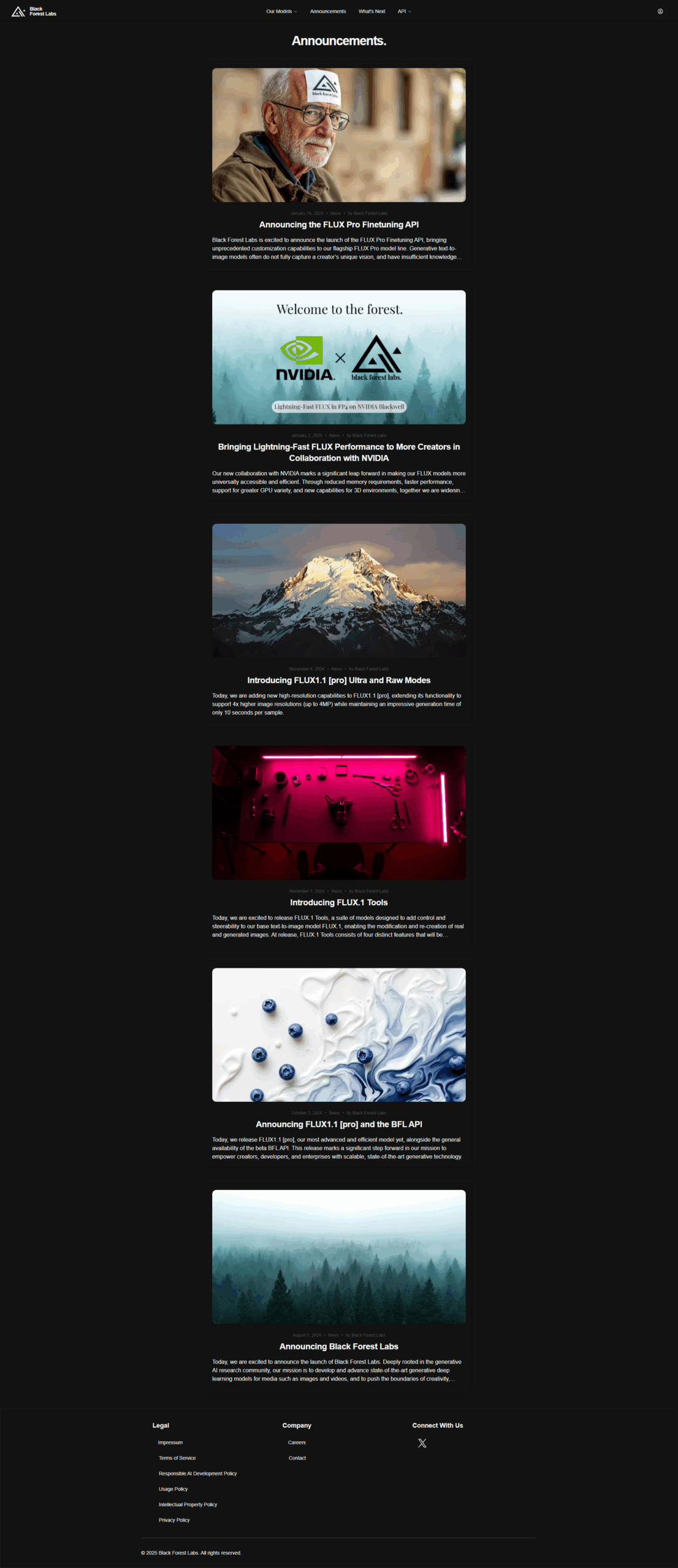 Black Forest Labs screenshot