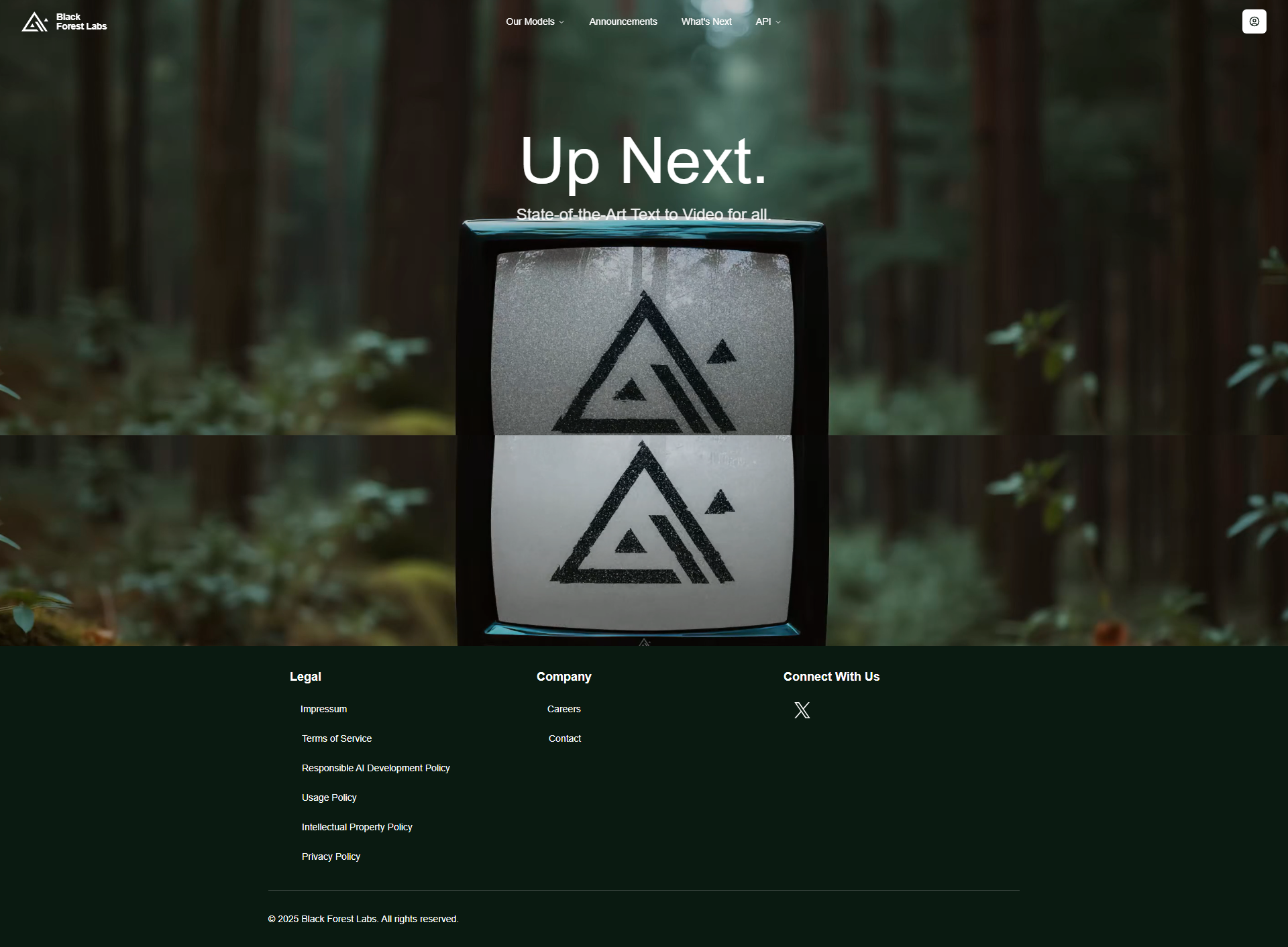 Black Forest Labs screenshot
